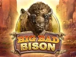 Big Bad Bison DNT